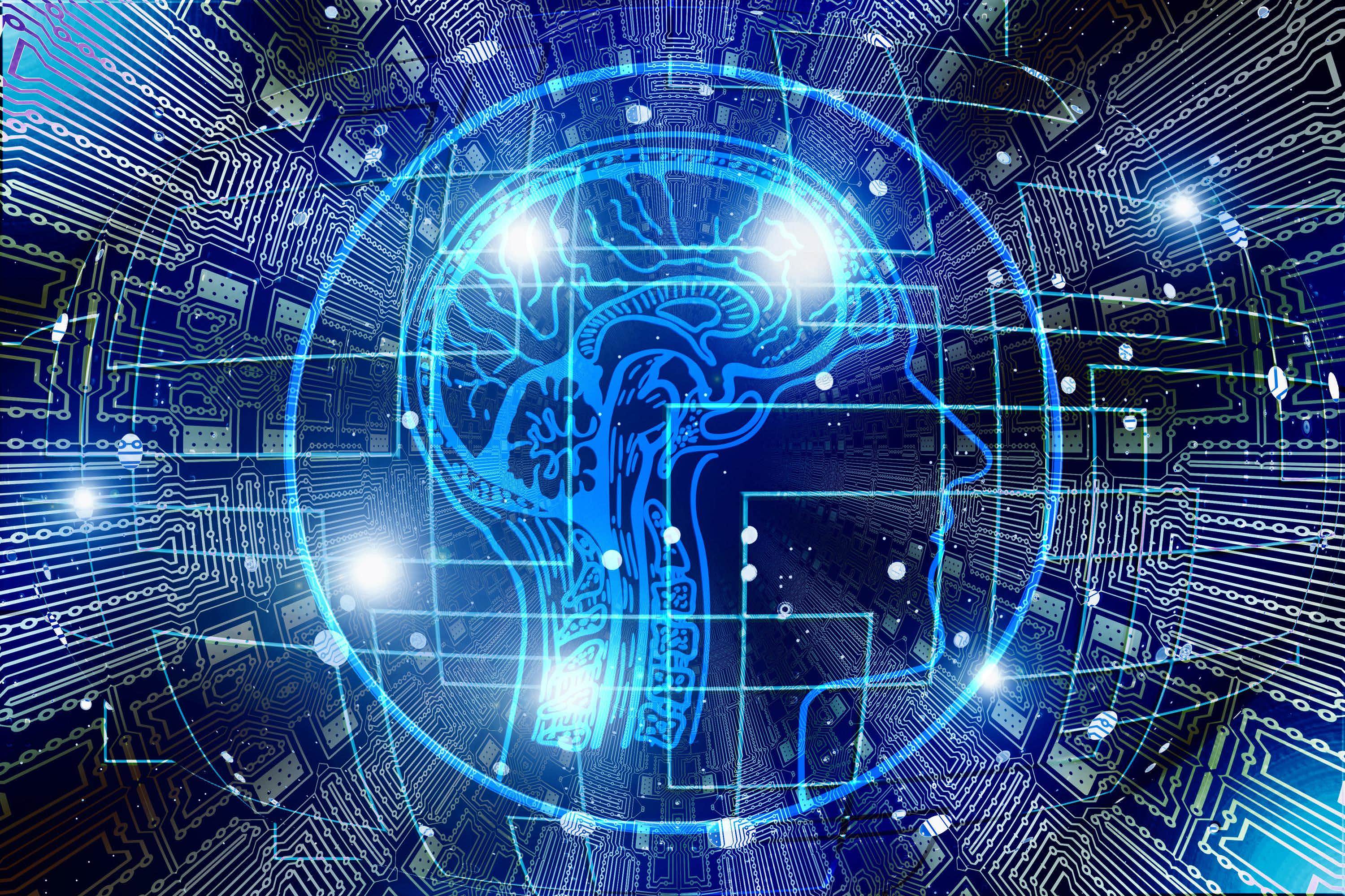 Studiare per la Facoltà di Ingegneria Sistemi di Elaborazione e Controllo con Cepu