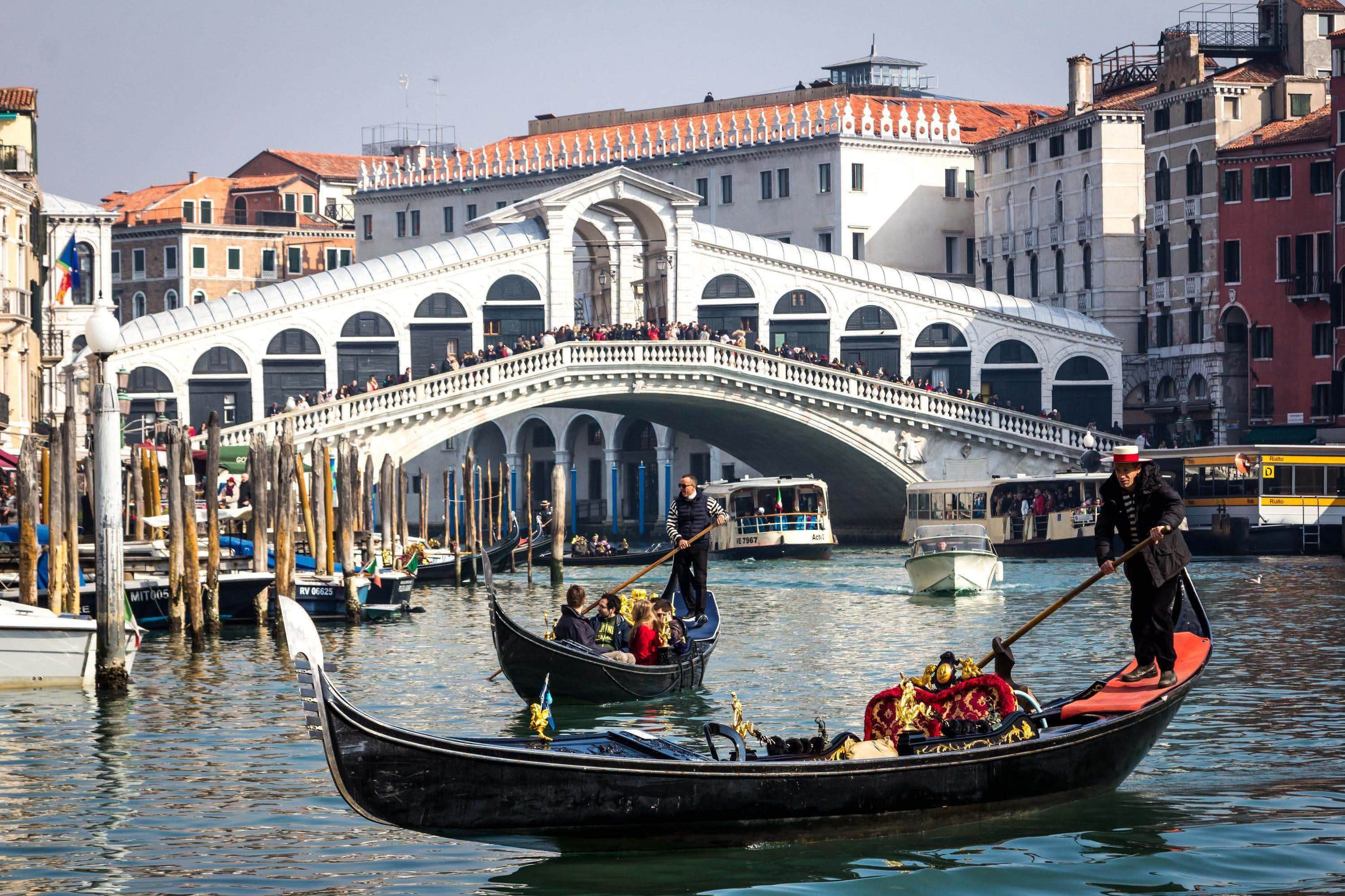 Corsi di Laurea Veneto